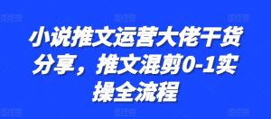 小说推文运营大佬干货分享，推文混剪0-1实操全流程-吾藏分享