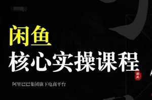 2024闲鱼核心实操课程，从养号、选品、发布、销售，教你做一个出单的闲鱼号-吾藏分享