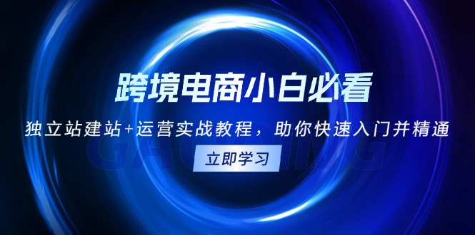 跨境电商小白必看！独立站建站+运营实战教程，助你快速入门并精通-吾藏分享