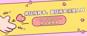 微信版知乎，超隐蔽流量入口1小时引流100人，粉丝质量超高-吾藏分享