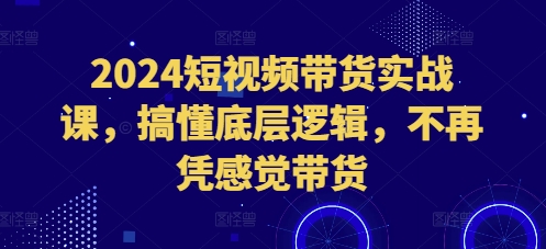 2024短视频带货实战课，搞懂底层逻辑，不再凭感觉带货-吾藏分享