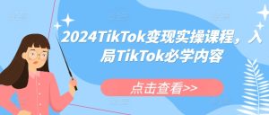 2024TikTok变现实操课程，入局TikTok必学内容-吾藏分享