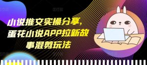 小说推文实操分享，蛋花小说APP拉新故事混剪玩法-吾藏分享