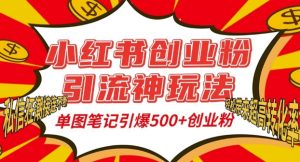 小红书创业粉引流神玩法，单图笔记引爆500+精准创业粉丝，私信狂潮接连不断-吾藏分享