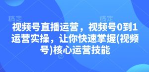 视频号直播运营，视频号0到1运营实操，让你快速掌握(视频号)核心运营技能-吾藏分享