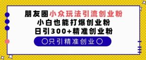 朋友圈小众玩法引流创业粉，小白也能打爆创业粉，日引300+精准创业粉-吾藏分享