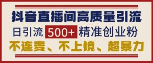 抖音直播间引流创业粉，无需连麦、不用上镜、超暴力，日引流500+高质量精准创业粉-吾藏分享