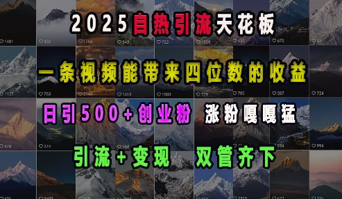 2025自热引流天花板，一条视频能带来四位数的收益，引流+变现双管齐下，日引500+创业粉，涨粉嘎嘎猛-吾藏分享