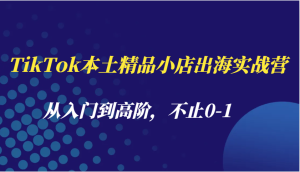 TikTok本土精品小店出海实战营，从入门到高阶，不止0-1-吾藏分享