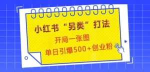 小红书“另类”打法，开局一张图，单日引爆500+精准创业粉-吾藏分享