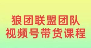 狼团联盟2024视频号带货，0基础小白快速入局视频号-吾藏分享