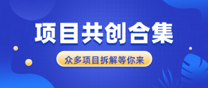 项目共创合集，从0-1全过程拆解，让你迅速找到适合自已的项目-吾藏分享