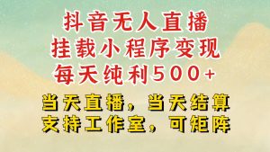 抖音无人挂机项目，轻松日入500+,挂载小程序玩法，不违规不封号，有号的一定挂起来-吾藏分享