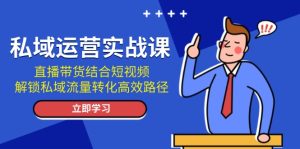 私域运营实战课：直播带货结合短视频，解锁私域流量转化高效路径-吾藏分享