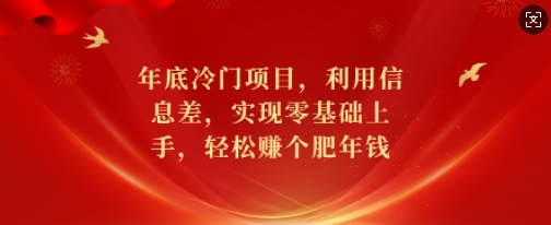 年底冷门项目，利用信息差，实现零基础上手，轻松赚个肥年钱-吾藏分享