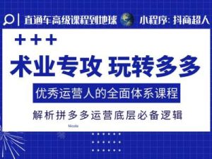 术业专攻玩转多多，优秀运营人的全面体系课程，解析拼多多运营底层必备逻辑-吾藏分享