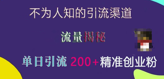 不为人知的引流渠道，流量揭秘，实测单日引流200+精准创业粉-吾藏分享