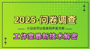 2025问卷调查最新工作室技术解密：一个人在家也可以闷声发大财，小白一天2张，可矩阵放大-吾藏分享