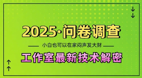 2025问卷调查最新工作室技术解密：一个人在家也可以闷声发大财，小白一天2张，可矩阵放大-吾藏分享