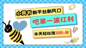 小黄书重磅来袭，新平台新风口，管理宽松，半天轻松涨3000粉，第一波红利等你来吃-吾藏分享