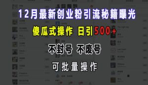 12月最新创业粉引流秘籍曝光 傻瓜式操作 日引500+ 不封号 不废号 可批量操作-吾藏分享