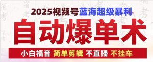 2025视频号蓝海超级暴利自动爆单术1.0 ，小白褔音 简单剪辑 不直播 不挂车-吾藏分享