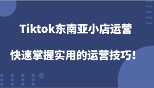 Tiktok东南亚小店运营，快速掌握实用的运营技巧！-吾藏分享