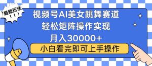 视频号蓝海赛道玩法，当天起号，拉爆流量收益，小白也能轻松月入30000+-吾藏分享