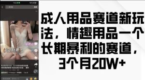 成人用品赛道新玩法，情趣用品一个长期暴利的赛道，3个月收益20个-吾藏分享