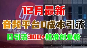 12月最新：音频平台0成本引流，日引流300+精准创业粉-吾藏分享