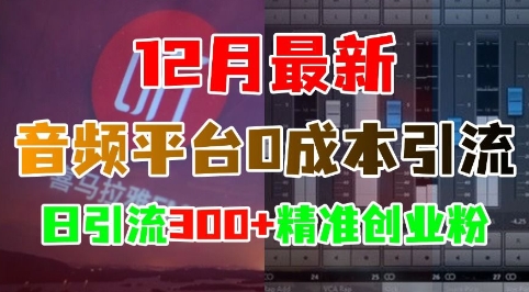 12月最新：音频平台0成本引流，日引流300+精准创业粉-吾藏分享