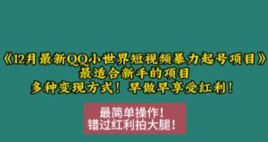 12月最新QQ小世界短视频暴力起号项目，最适合新手的项目，多种变现方式-吾藏分享