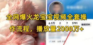 全网爆火龙宝宝视频全套操作流程，播放量2000万+-吾藏分享