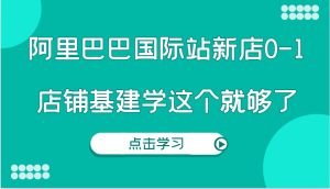 阿里巴巴国际站新店0-1，个人实践实操录制从0-1基建，店铺基建学这个就够了-吾藏分享