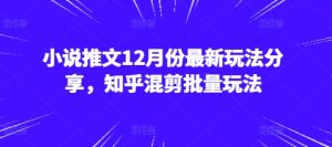 小说推文12月份最新玩法分享，知乎混剪批量玩法-吾藏分享