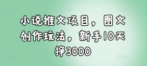 小说推文项目，图文创作玩法，新手10天挣3000-吾藏分享