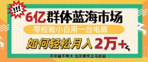 6亿群体蓝海市场，零经验小白用一台电脑，如何轻松月入过w-吾藏分享