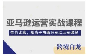 亚马逊运营实战课程，亚马逊从入门到精通，性价比高，相当于市面万元以上元课程-吾藏分享