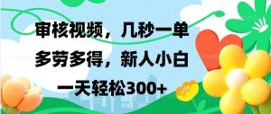 审核视频，几秒一单，多劳多得，新人小白一天轻松300+-吾藏分享