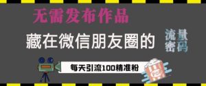 藏在微信朋友圈的流量密码，无需发布作品，单日引流100+精准创业粉-吾藏分享