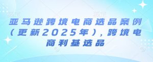 亚马逊跨境电商选品案例(更新2025年)，跨境电商利基选品-吾藏分享