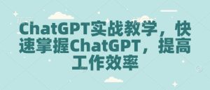 ChatGPT实战教学，快速掌握ChatGPT，提高工作效率-吾藏分享