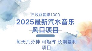 2025最新汽水音乐躺赚项目 每天几分钟 日入1000＋-吾藏分享