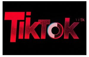 TikTok ads投流秘籍，涵盖tiktok整体投放思路，教你搭建测试计划-吾藏分享