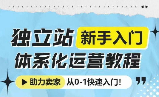 独立站新手入门体系化运营教程，助力独立站卖家从0-1快速入门!-吾藏分享