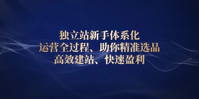 独立站新手体系化 运营全过程，助你精准选品、高效建站、快速盈利-吾藏分享