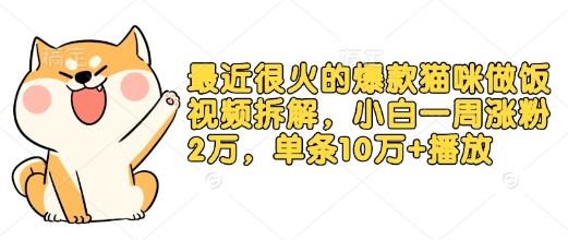 最近很火的爆款猫咪做饭视频拆解，小白一周涨粉2万，单条10万+播放(附保姆级教程)-吾藏分享