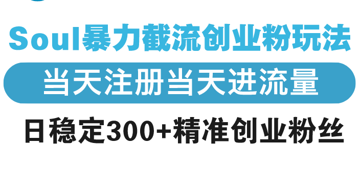 Soul暴力截流创业粉玩法，当天注册当天进流量，日稳定300+精准创业粉丝-吾藏分享