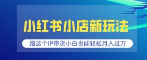 小红书小店新玩法，蹭这个IP带货，小白也能轻松月入过W-吾藏分享