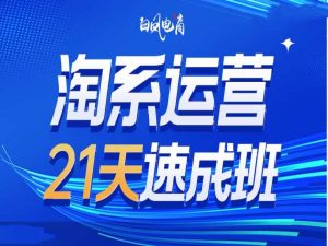 淘系运营21天速成班35期，年前最后一波和2025方向-吾藏分享